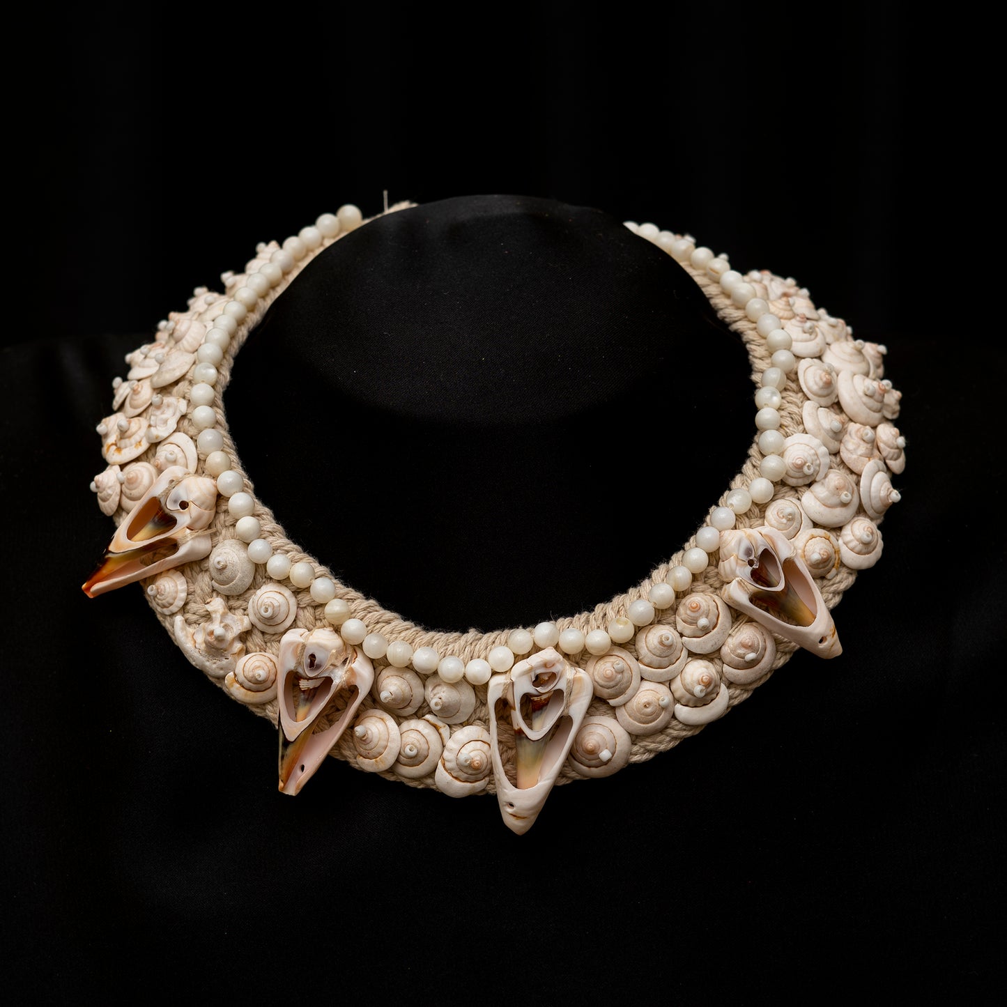 Sea Shell Pearls